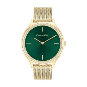 Calvin Klein Timeless női karóra 25100005