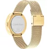 Calvin Klein női karóra 25200339