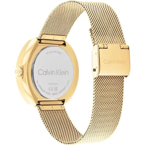 Calvin Klein női karóra 25200339