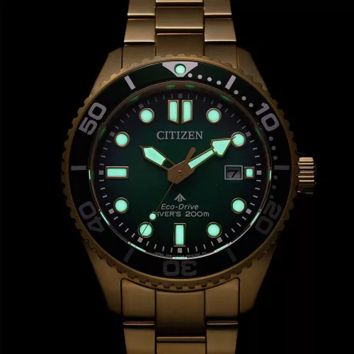 Citizen Promaster Eco-Drive Diver férfi karóra BN0262-59W
