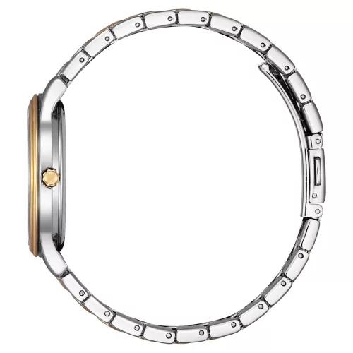 Citizen Eco-Drive Elegance női karóra EM0416-78A
