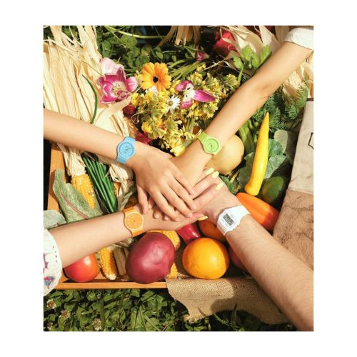 Casio karóra MQ-24B-9BEF